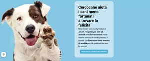 cercocane aiuta i cani sfortunati a trovare la felicità