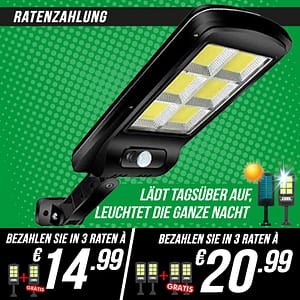 DE-120LED-Zahlungsmethode- raten-03 - Copia